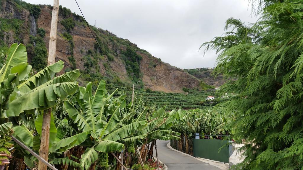 Banana House Ξενοδοχείο Ponta do Sol  Εξωτερικό φωτογραφία