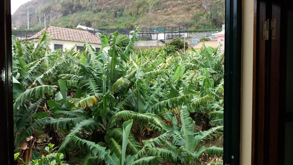 Banana House Ξενοδοχείο Ponta do Sol  Εξωτερικό φωτογραφία