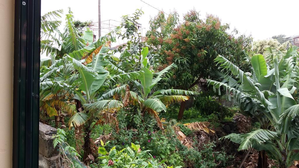 Banana House Ξενοδοχείο Ponta do Sol  Εξωτερικό φωτογραφία